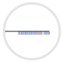 CODEX-Barcodes.png