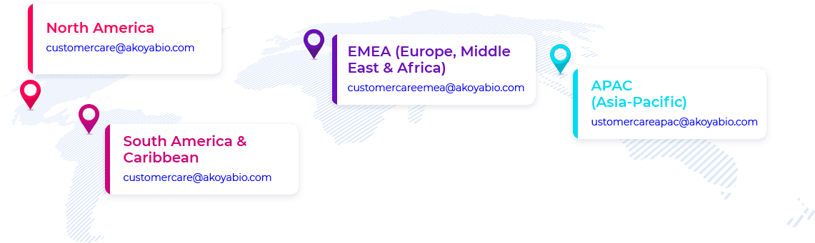 Customer-Care-Team