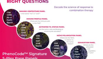 Signature-panels_enhanced-image-@2x