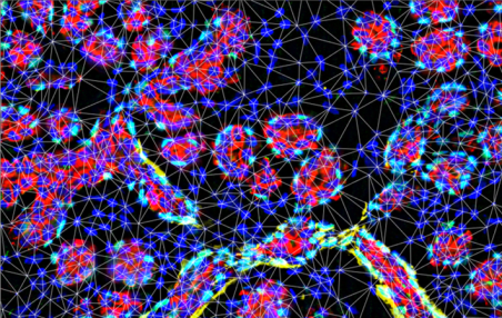 Spatial-Proteomics