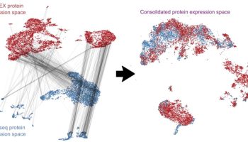 codex-cite-seq-expression-space-@2x