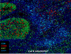 image-for-opal-secondary-antibodies-pdp