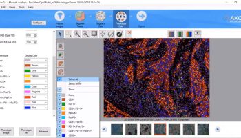 inform-phenotyping-cells-3@1x_1