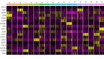 seurat-heatmap-2x