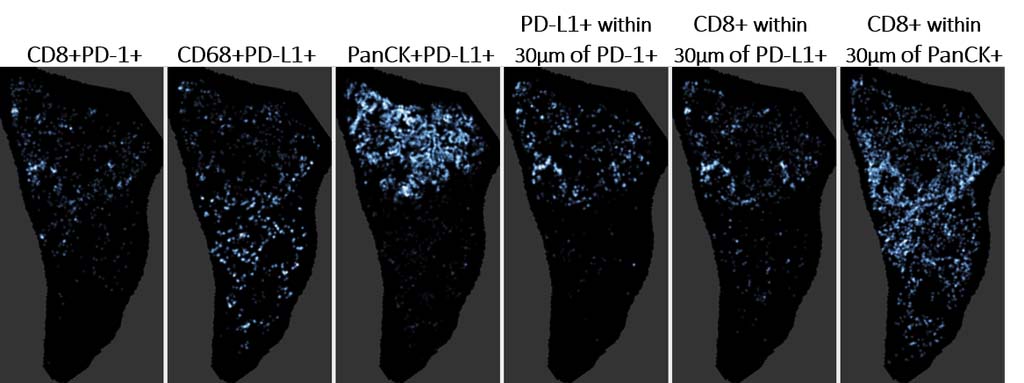 motif proximity map