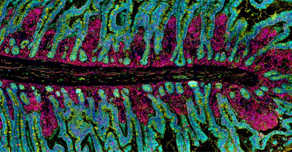 oct21 img contest arozeboom 1024x532 @2x image