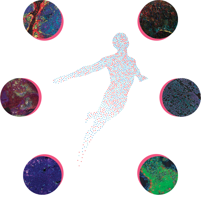 scaleup image