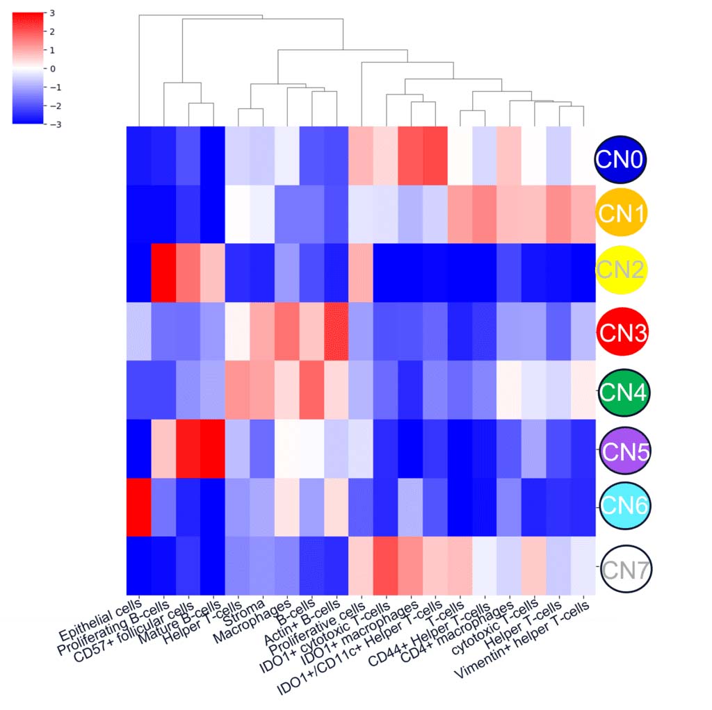 seurat cell neighborhoods heatmap