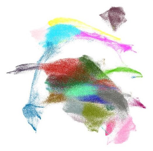 akoya clustering new image 03 no labels