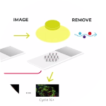 Iterative Cycling and Imaging