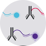 Oligonucleotide Barcode Technology